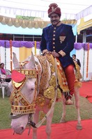Sunil Photo Gallery